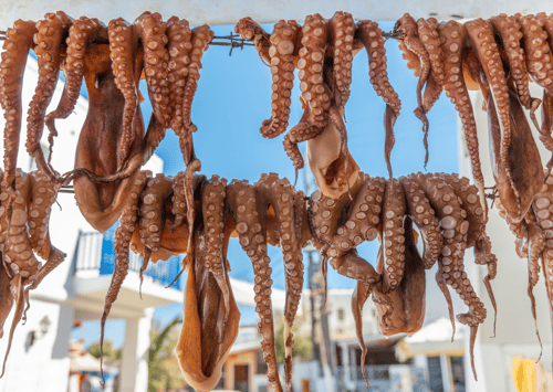 Taste of Greece: 5 Must Try Foods on Paros Island