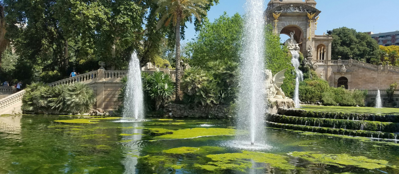 ASA Blog Images (95)