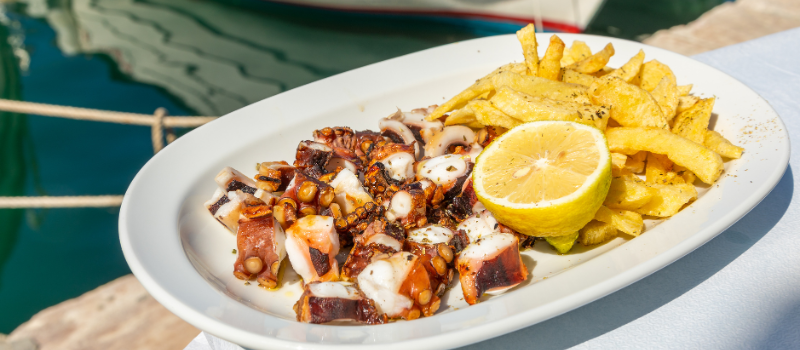 Octopus