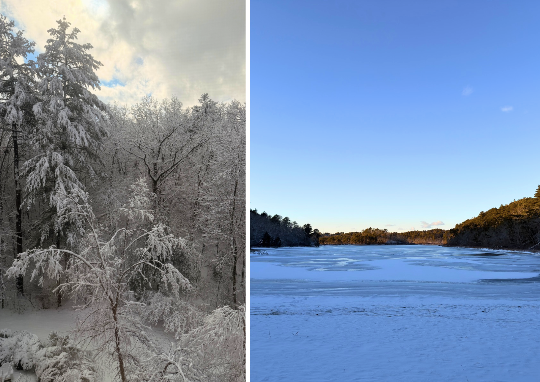 Screenshot 2026-01-31 at 18.48.16