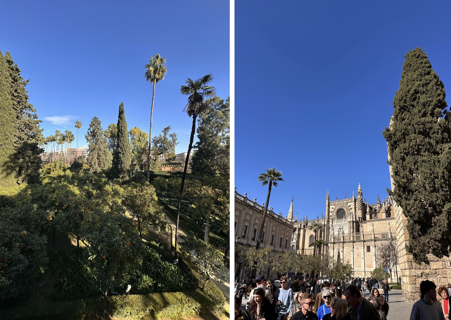 Screenshot 2026-01-31 at 18.49.07