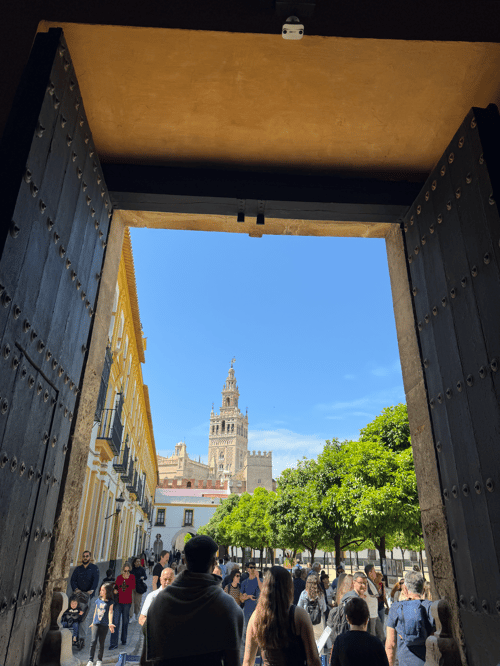 Screenshot 2026-03-01 at 14.23.43