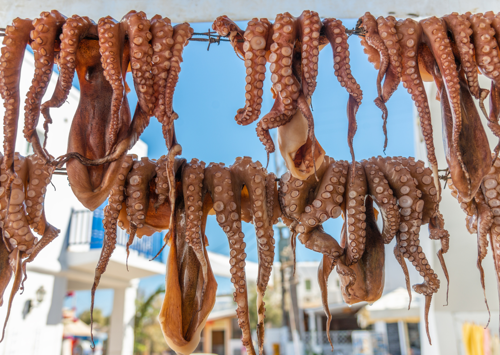 Taste of Greece: 5 Must Try Foods on Paros Island