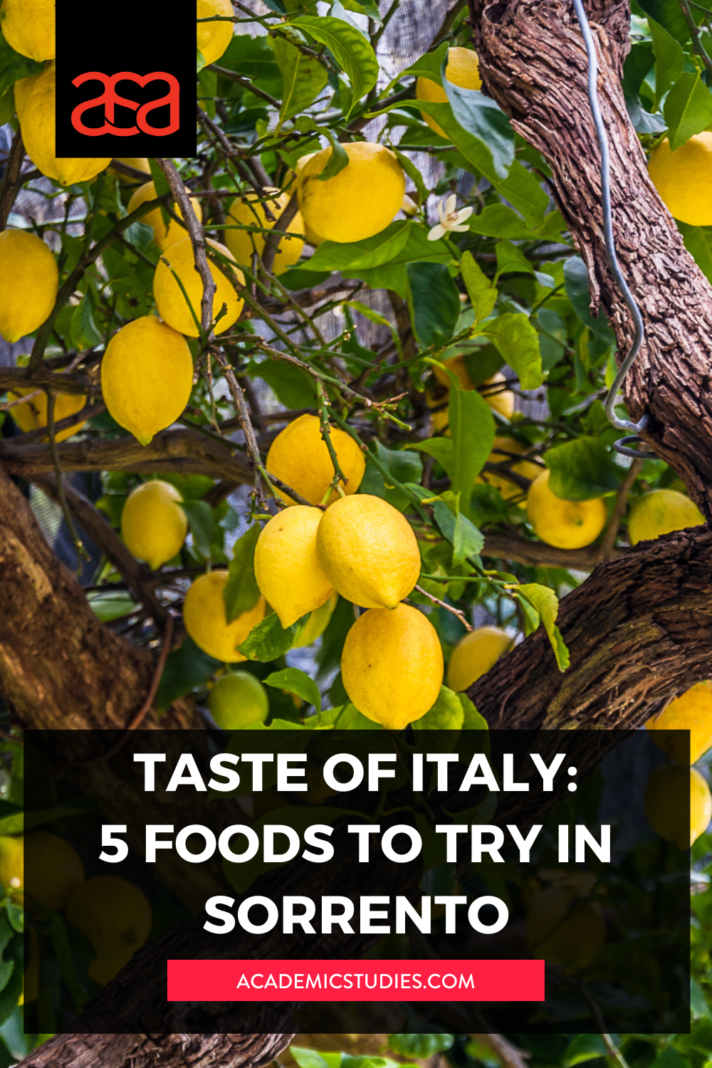 Taste of Italy: 5 Must Try Foods in Sorrento